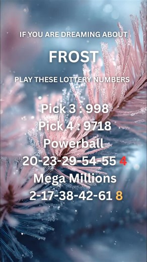 Lottery Predictor on Instagram: "If you are dreaming about Frost, play these lucky lottery numbers."