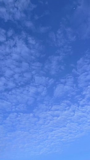 #brodie_clinty #thebrodies_family #yohgirl_lynn