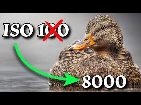 The ISO Myth That’s Killing Your Photos