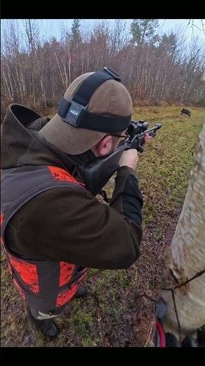 CHASSE SOLOGNE EN BATTUE ! GROS SANGLIER #chasse #hunting #hunt #wildboar