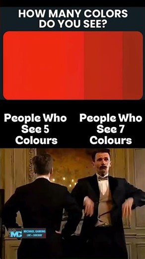 How Many Colours Do You See?