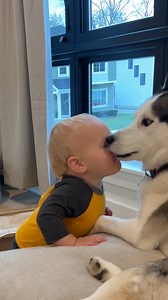 537K views · 3.6K reactions | A pair of cuties 殺 | Furry Tails | Facebook