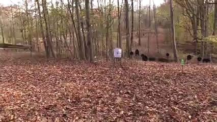 【美军枪械】 1903 Springfield 春田步枪 打靶射击，实弹！ 100周年