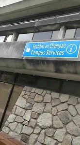 14K views · 111 reactions | ️Last chance to REGISTER to Vote️ We have arranged for a Gard to be on campus tomorrow from 1-3.30pm in the Campus Services offices, beside the Ag Building (directions from JJ Library in this video). We will have the forms, envelopes and stamps with him to make things easier. Spread the word! | UCD Students' Union | Facebook