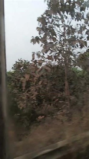 The Most Terrifying Future Predictions