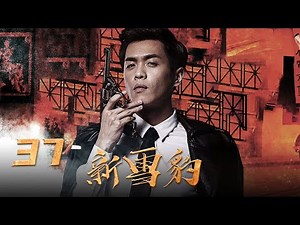 【War of Resistance Drama】New Snow Leopard 37丨Zhang Ruoyun leads the original team