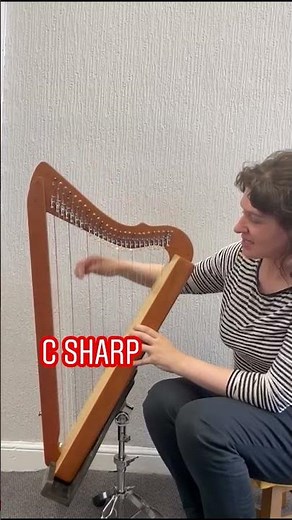 Understanding the Harp: What is a Lap Harp? 🎶
