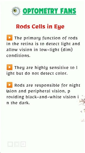 Rods Cells in Eye