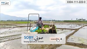 2.1K views · 61 reactions | Rice Planter Machine مونجی/ چاول/ دھان کی...