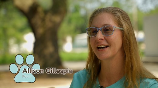 🎥 See what makes All4Paws so special! ❤ Whether you're a local or just visiting, we invite you to experience the heart behind our mission in this brand-new promo video—generously funded by a grant from The Frances P. Bunnelle Foundation and beautifully produced by Break Media. Huge thanks to everyone who helped bring this to life! Please share! Help us share our mission! #all4pawssc #compassion #BringLoveHome #compassion #CompassionInAction #marketcommon #PawleysIslandEvents #rescuedtreasures #