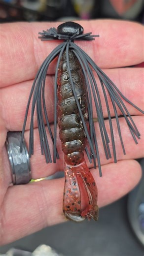 COLD WATER NEDDIN' ??? THIS PRESENTATION LOOKS AWESOME IN THE WATER. #fishon #FISHING #bassfishing The @zmanfishingproducts GOAT makes a great trailer for the NEDDIN'JIG. | PIG JIGS