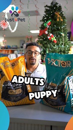 Curious about the difference between Victor Multi-Pro and Victor Hi-Pro Plus dog food? 🐶 Aljereau is here to break it down for you! Discover which formula is best for your furry friend at Just 4 Pet! #DogFoodDifferences #VictorPetFood #Just4Pet | Just 4 Pet