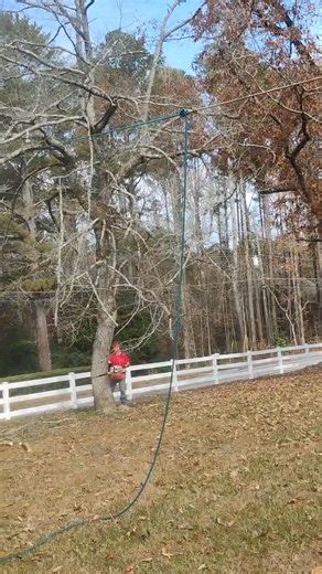 Just another successful tree removal out of Kennesaw. Tree removal completed by Tree Smith Of All Trees | Brandon Smith