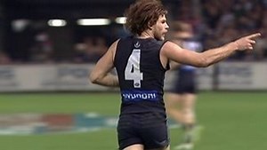 CFC TV: Carlton 2014