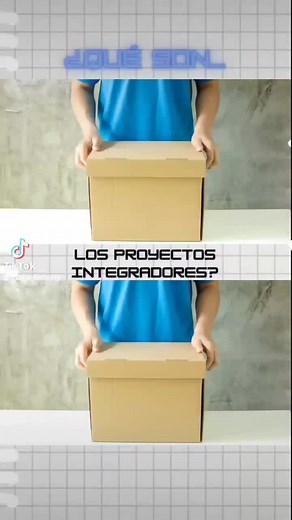 ¿Qué son los proyectos integradores en educación?