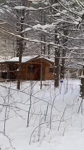 8.5K views · 88 reactions | Check out our best offer going on right now! | Cabins at Cook Forest | Facebook
