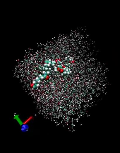 Molecular dynamics simulation of polycaprolactone in a mixture of water and acetone