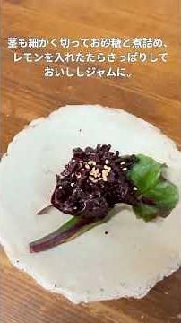ビーツのススメ｜捨てるところがない栄養満点野菜！