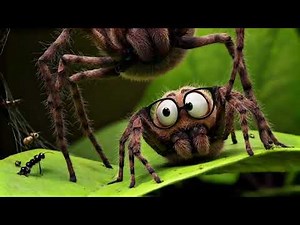 Spiders Song 🕷️ | AI Fun Educational Kids Music