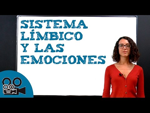 Limbic system and emotions