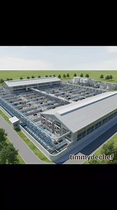 Feedlot designs | Timmydechef Integrated Services Ltd