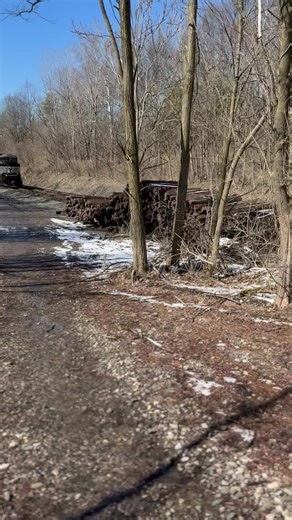 Exploring Norfolk Southern Trains and Railfanning Culture