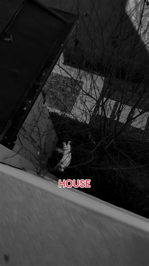 How to Create The Haunting Of Hill House Edits