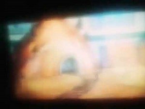 Winnie the Pooh the good the bad and the Tigger