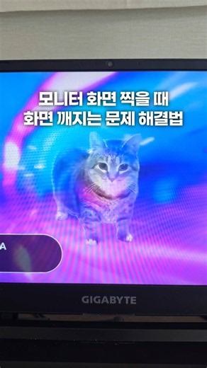 [팁] 모니터 화면 찍을 때 화면 깨지는 문제 해결법