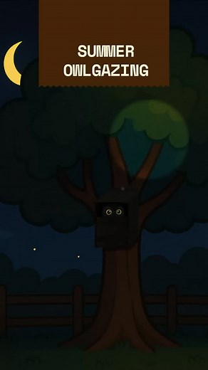 🦉On warm summer nights, owlgazing offers a peaceful way to connect with nature. Many owl species are active after dusk, their calls echoing through forests, fields, and even neighborhoods. With sharp night vision and silent flight, they move almost unseen—but a patient observer might spot one gliding or perched in the dark. Owlgazing invites quiet, stillness, and a deeper awareness of the night. Want to see more owls? 👀Try installing an owl house to provide safe shelter and encourage nesting n