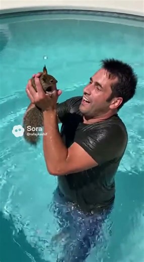“It Fell Into the Pool!” — Quick-Thinking Man Saves Drowning Animal on Phone