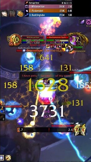 What is this DPS?! #tbc #retpaladin #retributionpaladin