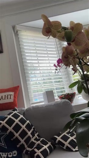 12K views · 139 reactions | The King Channel on Reels | Facebook