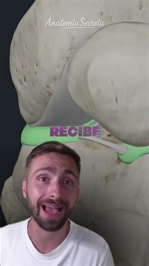 🦵💥 Does your knee hurt and you don't know why?