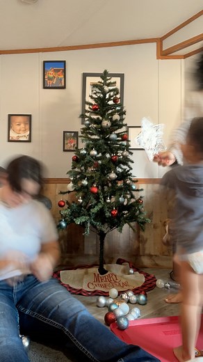 1.4K views · 31 reactions | Christmas tree is up #christmas2023 #tree #family | Babyboo Babyboo | Facebook