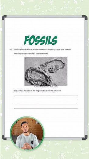 GCSE Biology: Exam Question | Fossil