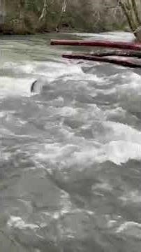 Video of Trask River Campsites, OR from Jeff C.