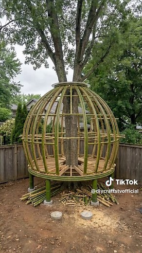 Building a Bamboo Treehouse Around a Living Tree