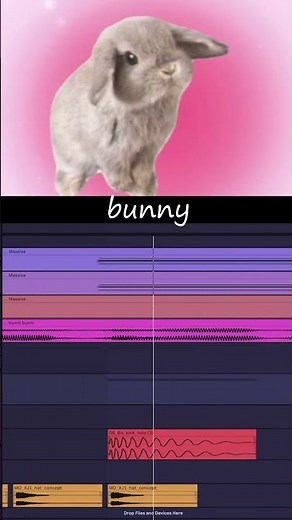 BUNNY BUNNY pluggnb / new jazz REMIX