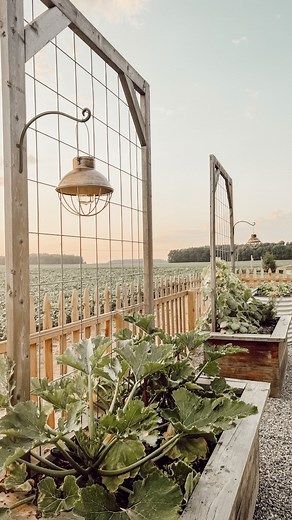 Deb McCoy and Danelle Harvey on Instagram: "I could hang out here in the garden all day looking at my vegetable plants. I actually have to check them out several times a day. Anyone else? 🙋🏻‍♀️ For such a late start, I’m happy with the progress. I want to plants more seeds this weekend for a fall harvest. Do you plant a second round? We have so many more plans for this little homestead we are making from scratch… including finishing the pergola entrance that we worked on today and shared in st