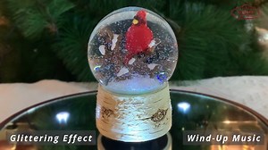 Watch Moments in Time Wind-up Snow Globe with Cardinal on Amazon Live