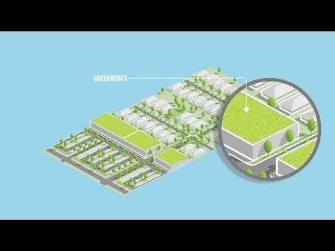 Green Infrastructure in New Orleans