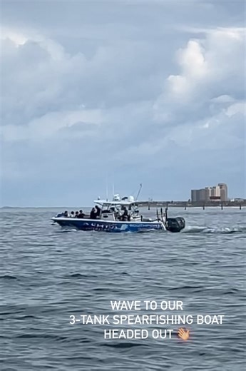 Going to be another outstanding weekend! Seas are looking calm, the sun will be shining, air temps in the 70’s, and we should have the same great visibility we had last weekend. We have one spot left on our Sunday 3-tank Sheridan wreck trip and spots available both Saturday and Sunday on our 8 AM 2-tank scuba trip. The spearing trips filled up after everyone saw pics from the last few trips. We look forward to seeing everyone on the water. #NovemberDiving #NotSnowingInFlorida #WaterYouWaitingFor