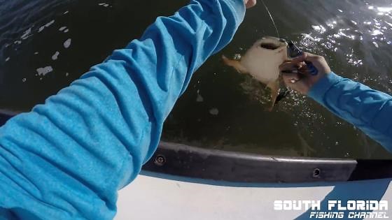 Snapper catch and cook, making the fish pancakes