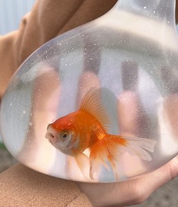 1.3M views · 7.1K reactions | Non ho ancora finito con gli HACK di gomma! | 5 Minuti Creativi Famiglia | Facebook