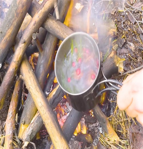 Building a root cellar bunker during swamp survival | Thomas Wilderness