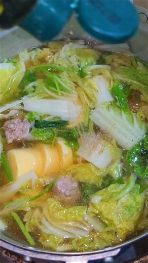 ​🍲 Clear Soup with Tofu, Minced Pork, and Chinese Celery (Gaeng Jued Tofu Moo Sub)