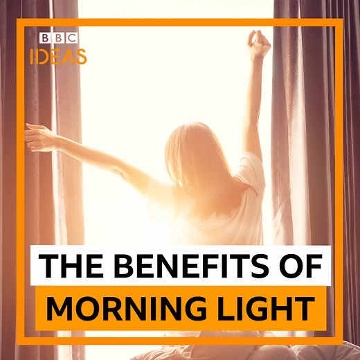 How morning light can help regulate your sleep patterns - and why it's so important to get outside to experience the full benefits? Made in partnership with The Royal Society | BBC
