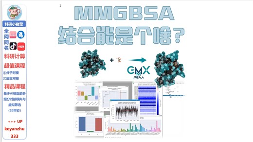 MMGBSA结合能是个啥