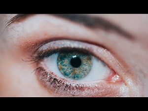 Why you NEED a MACRO lens